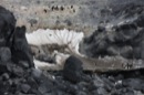 Penguin Slide