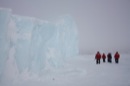 Iceberg