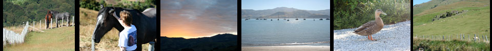 Akaroa