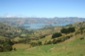 bay