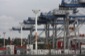 Harbor Cranes