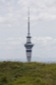 Tower