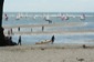 bay