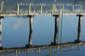 Dock