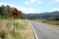 Road