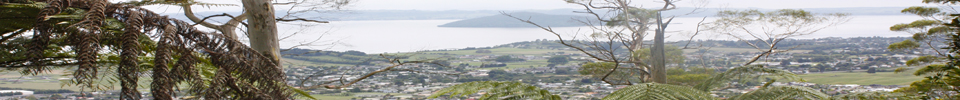 Rotorua