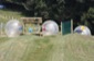 zorb