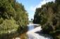 Stream