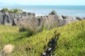 Pancake Rocks