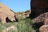 Red Rocks